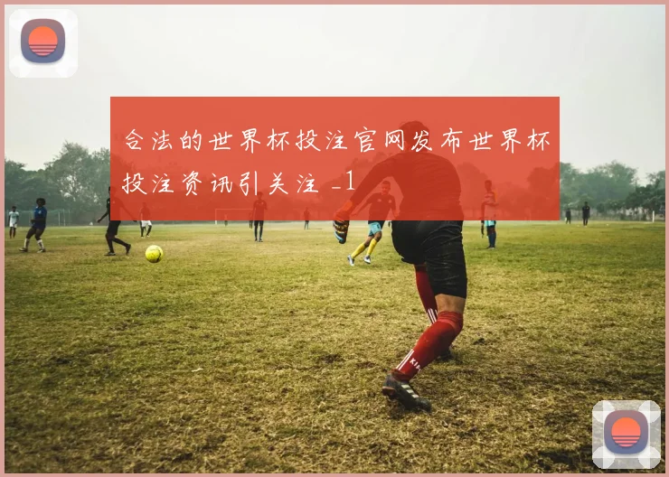 合法的世界杯投注官网发布世界杯投注资讯引关注 _1