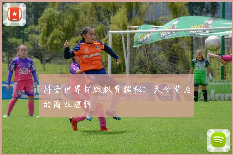 抖音世界杯版权费揭秘：天价背后的商业逻辑
