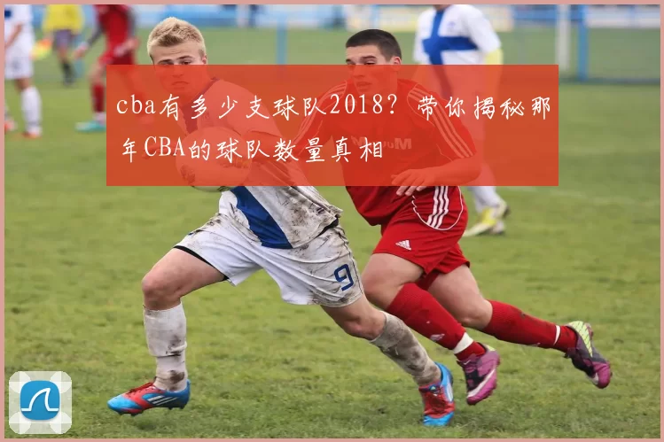cba有多少支球队2018？带你揭秘那年CBA的球队数量真相