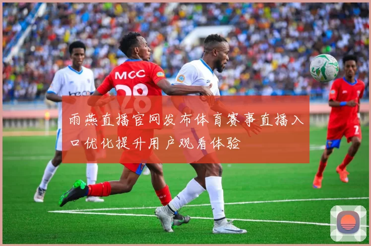 雨燕直播官网发布体育赛事直播入口优化提升用户观看体验