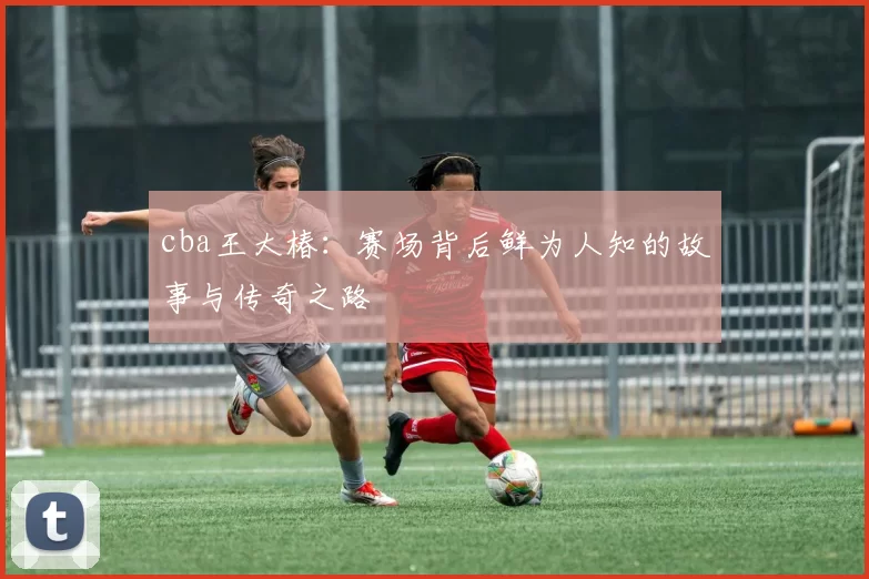 cba王大椿：赛场背后鲜为人知的故事与传奇之路