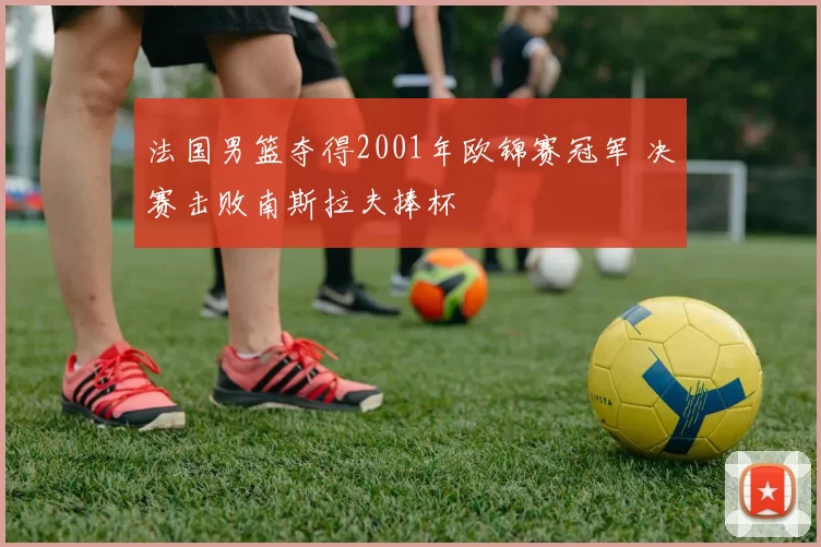 法国男篮夺得2001年欧锦赛冠军 决赛击败南斯拉夫捧杯