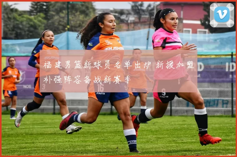 福建男篮新球员名单出炉 新援加盟补强阵容备战新赛季